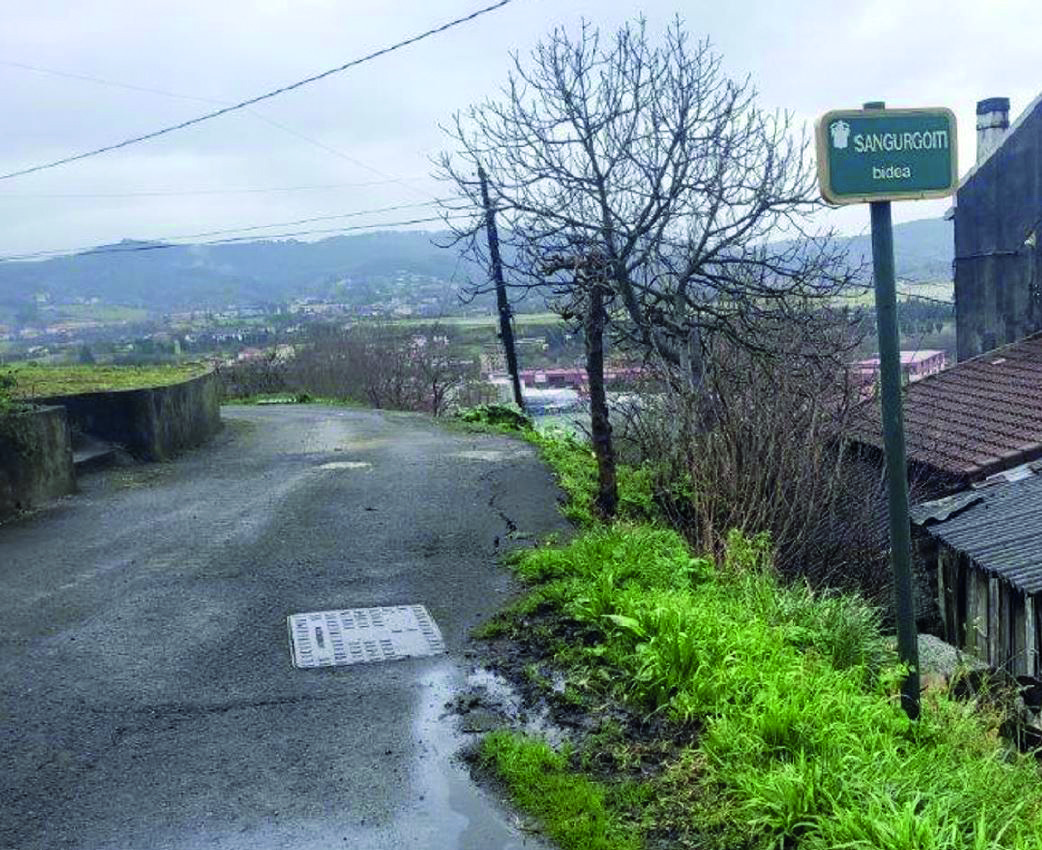 Sangurgoiti Bidea egonkortzeko lanak esleitu dituzte
