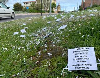 Zamudioko lorezainak greban