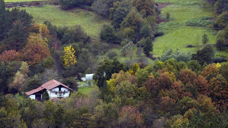 Beste basogintza-eredu bati begira