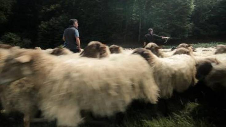 250 buruko artaldea Larrabetzutik pasatuko da, tra
