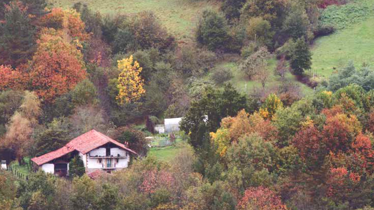 Larrabetzu, beste basogintza-eredu baterantz