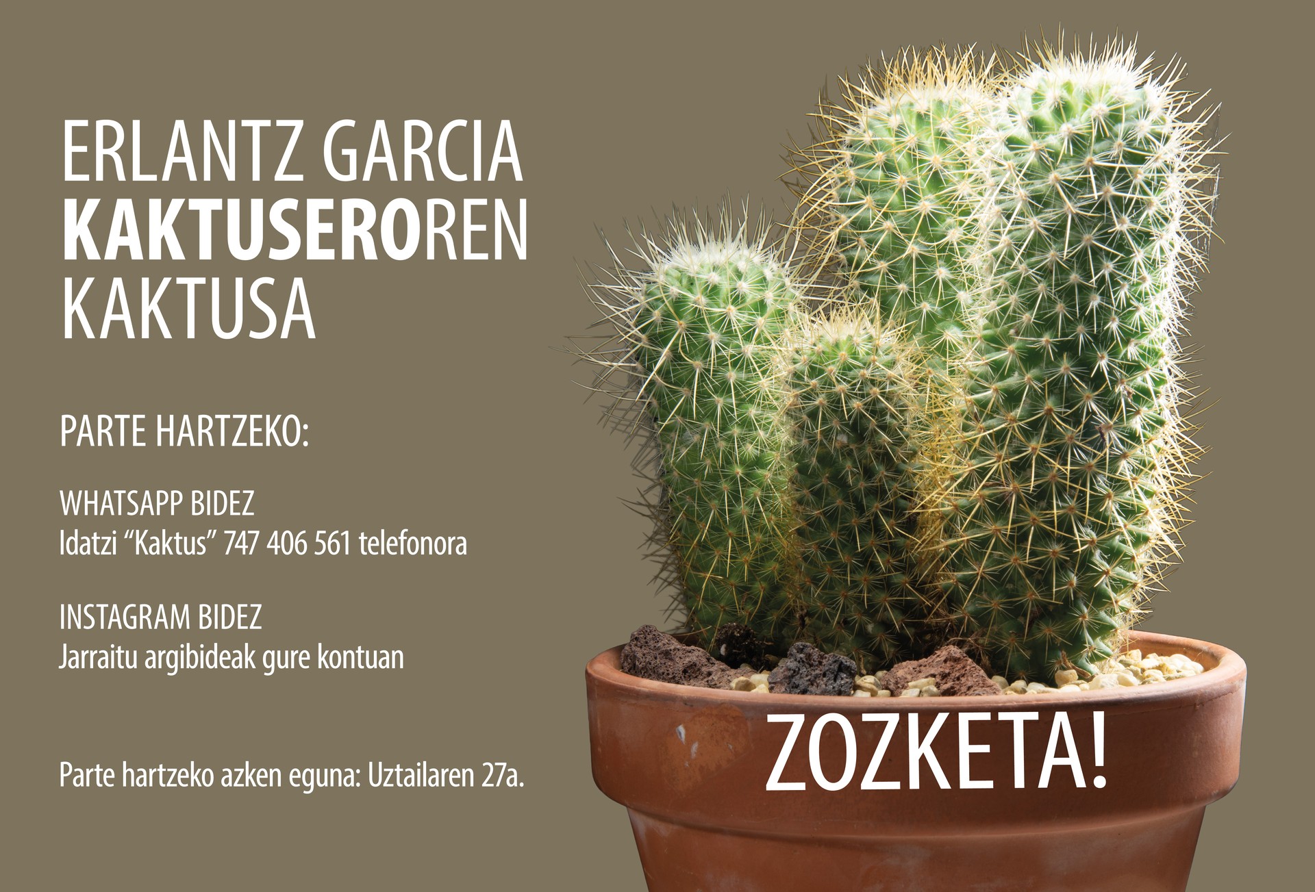Kaktusa Zozketan!