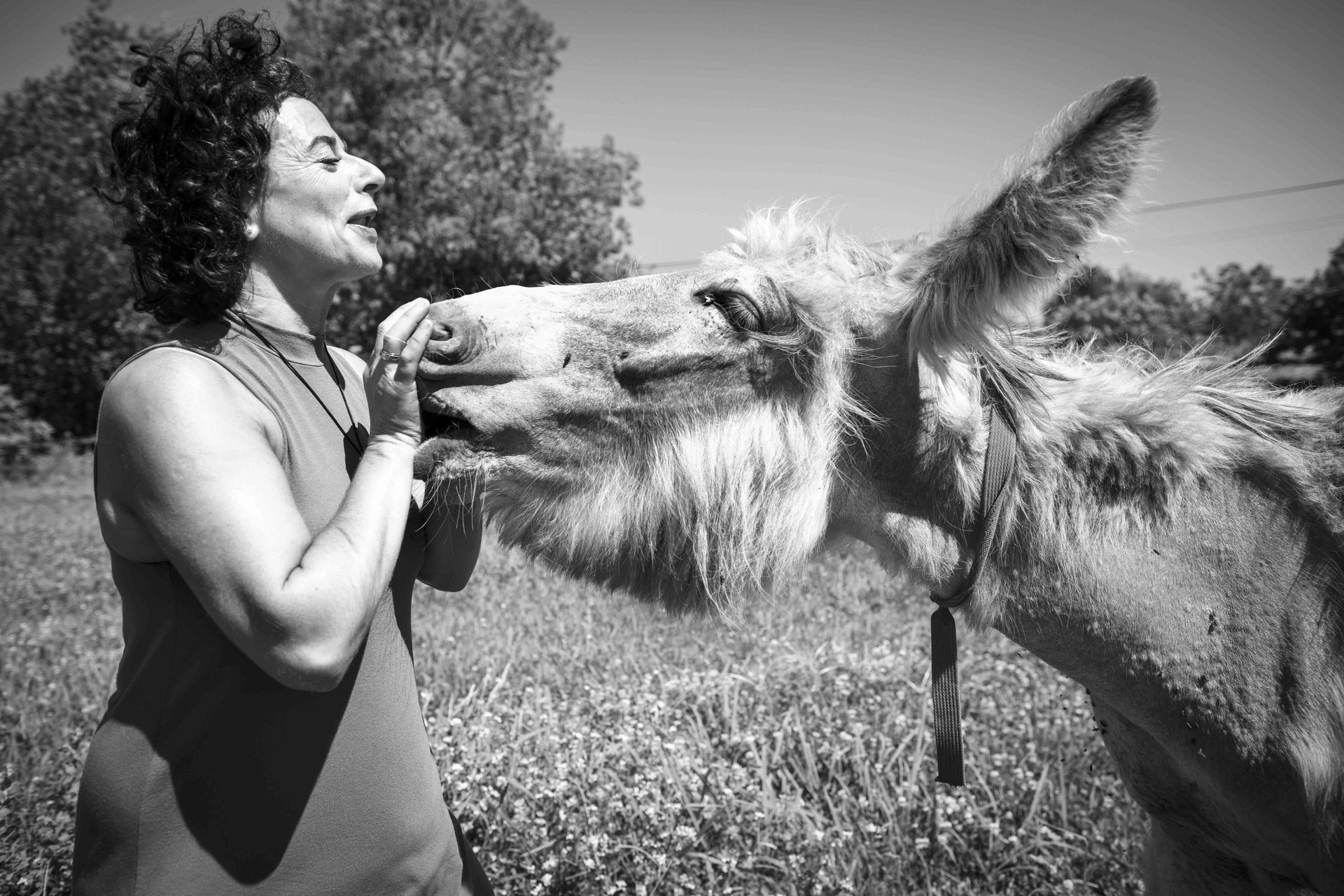 Bimba | Asteme soziala