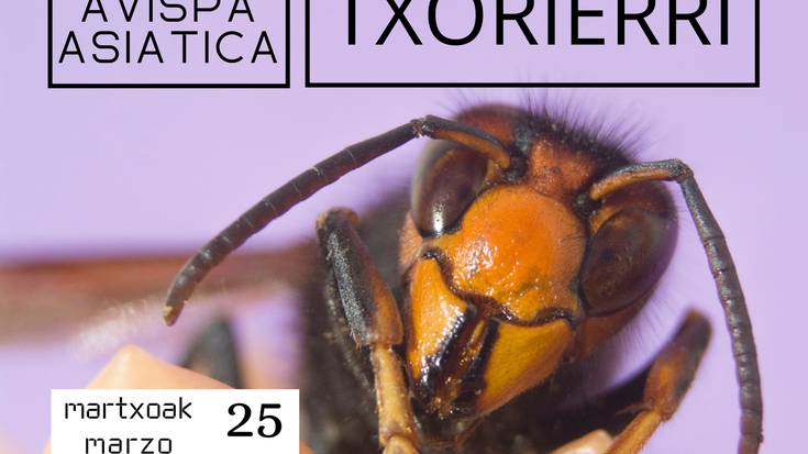 Liztor asiarraren inguruko hitzaldia