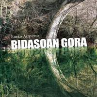 Literaturaz Berbetan: Eneko Aizpurua
