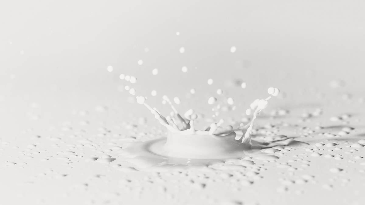 Hizkuntza, pentsatzen dugunetik  amesten dugunera arte