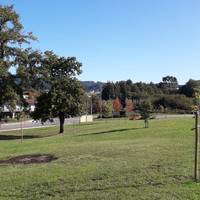 Lezama hobeto ezagutzeko ibilbide gidatua, domekan