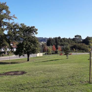 Lezama hobeto ezagutzeko ibilbide gidatua, domekan