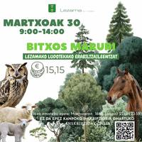 Bitxos Marurira irteera