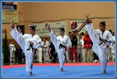 Tai Chi eta Taekwondo Txapelketak, Derion