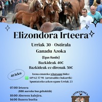 Elizondora irteera