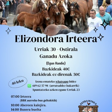 Elizondora irteera
