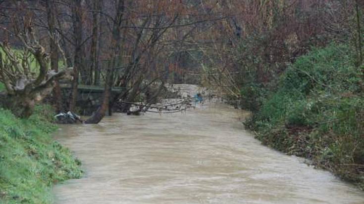 Euriteak arazoak sortu ditu Txorierriko hainbat le