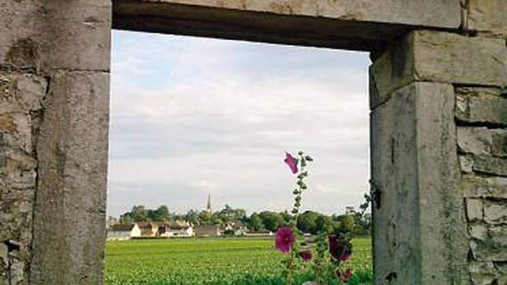 Paki, lorategian