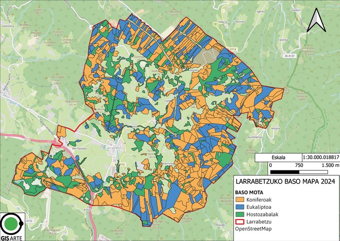 Pinua zegoen lekuan, eukaliptoa