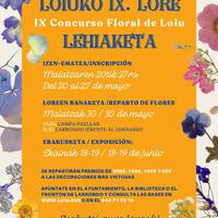 Loiuko IX. Lore Lehiaketa