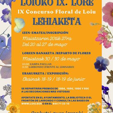 Loiuko IX. Lore Lehiaketa