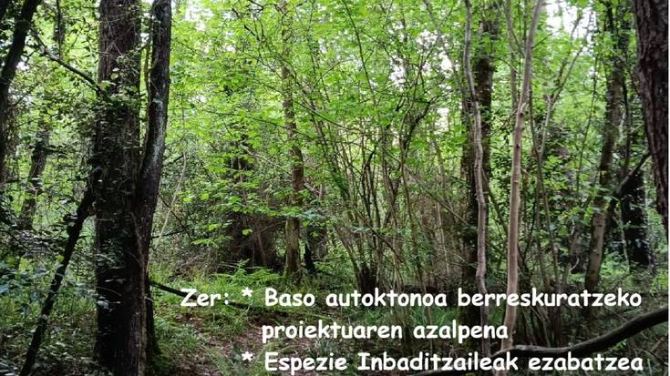 Baso autoktonoaren aldeko auzolana