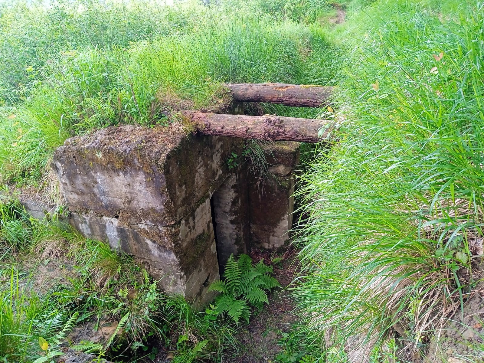 Memoriatik kantura