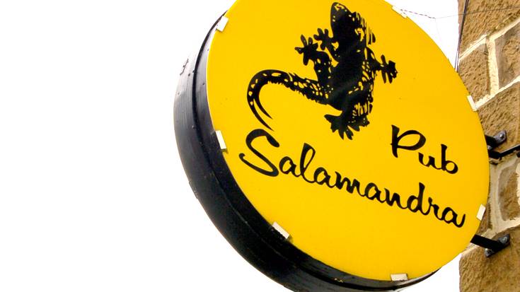 Festa antolatu dute Salamandra puba gogora ekartzeko