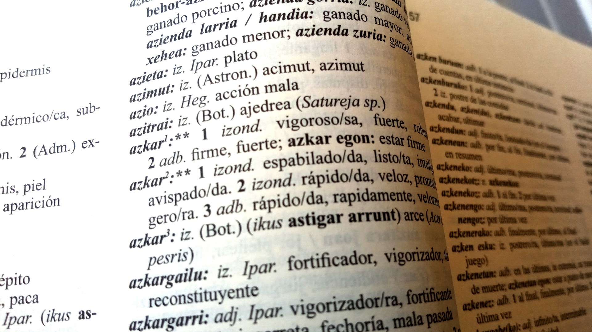 Geure berbak