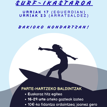 Surf ikastaroa, Bakion
