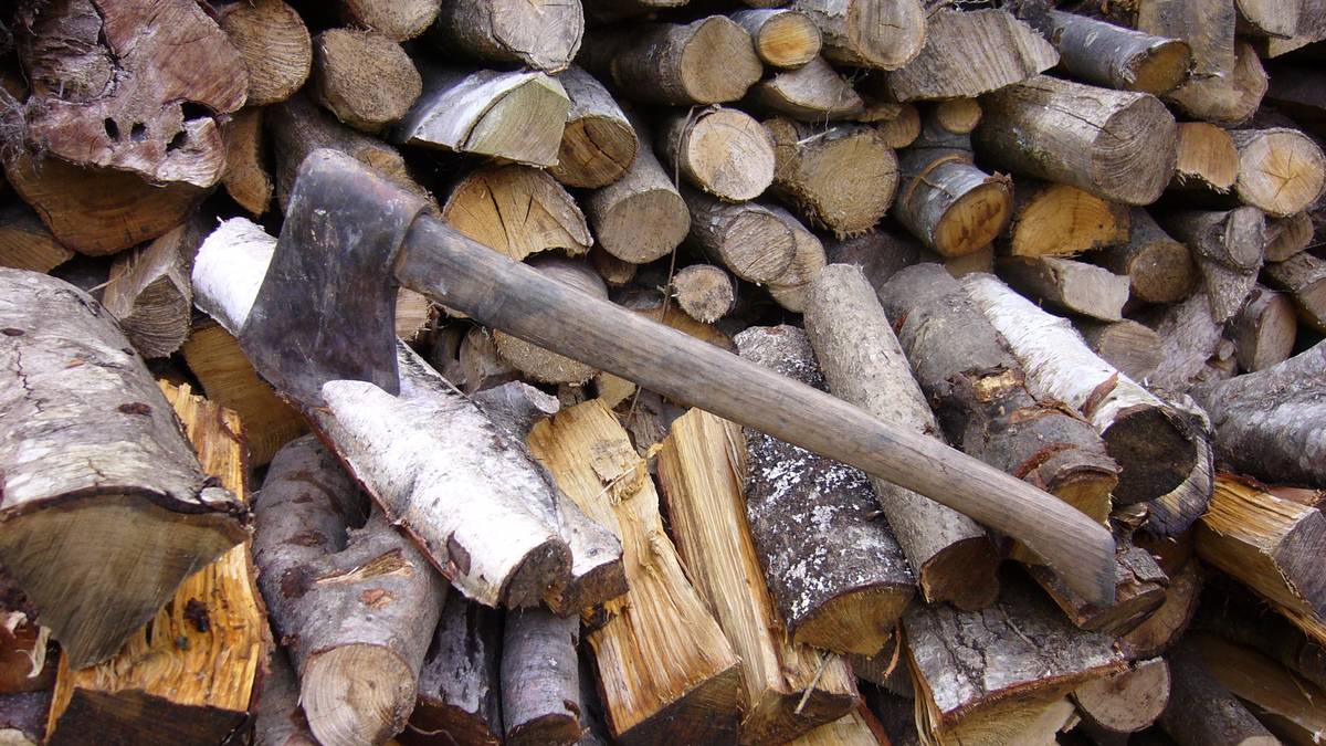 Aizkora Misto Txapelketa domekan Larrabetzun