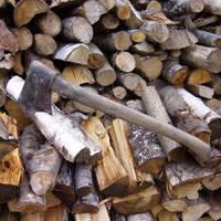 Aizkora Misto Txapelketa domekan Larrabetzun