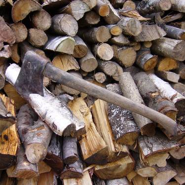 Aizkora Misto Txapelketa domekan Larrabetzun