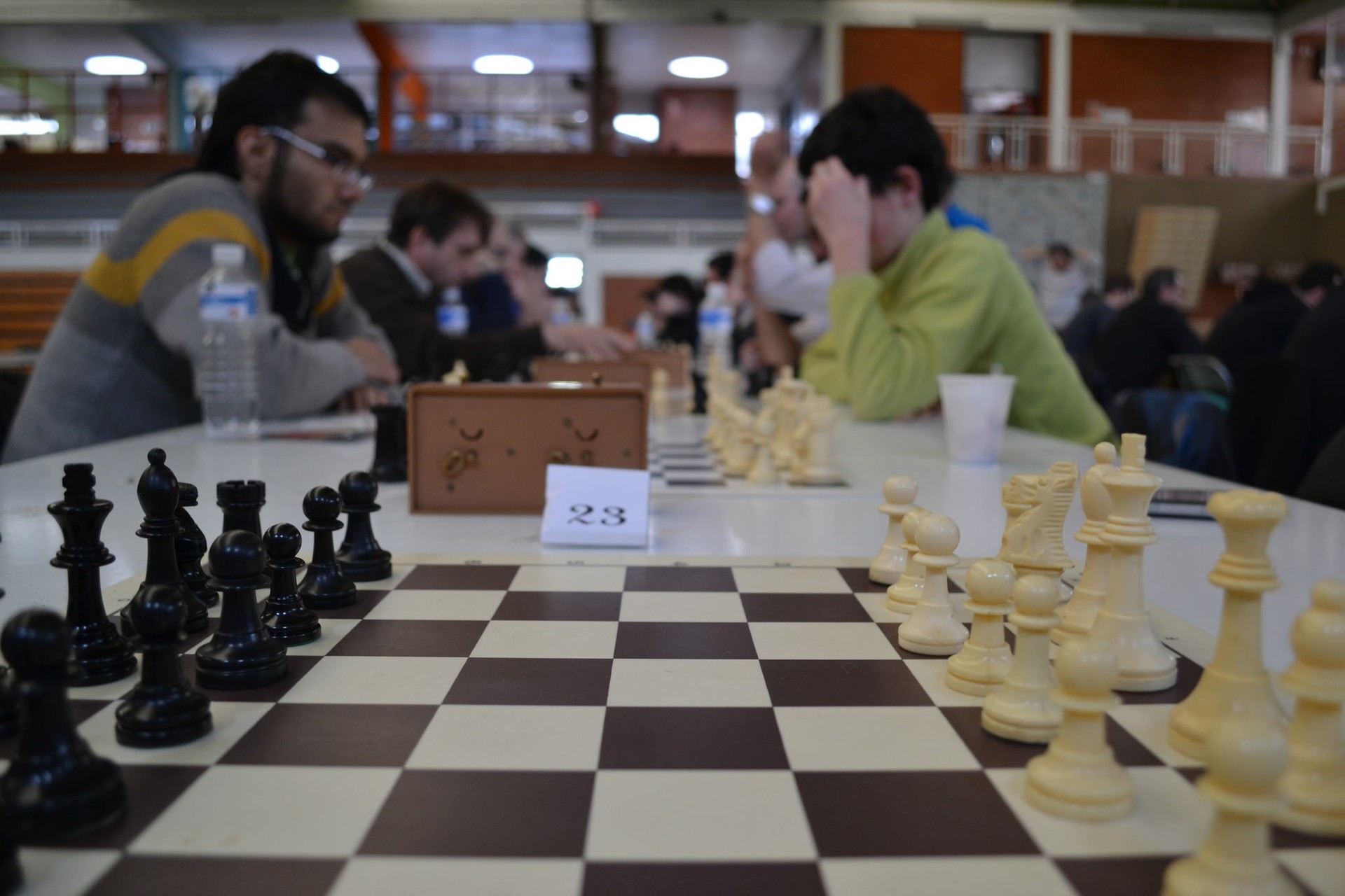 XIX. Xake Opena ekainaren 3an izango da Derion