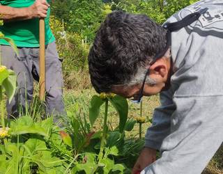 Eguaztenean ekingo diote Larrabetzun Gym Berdeari