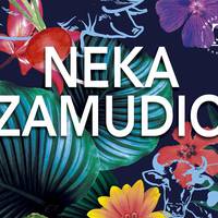 NEKAZAMUDIOren agurra