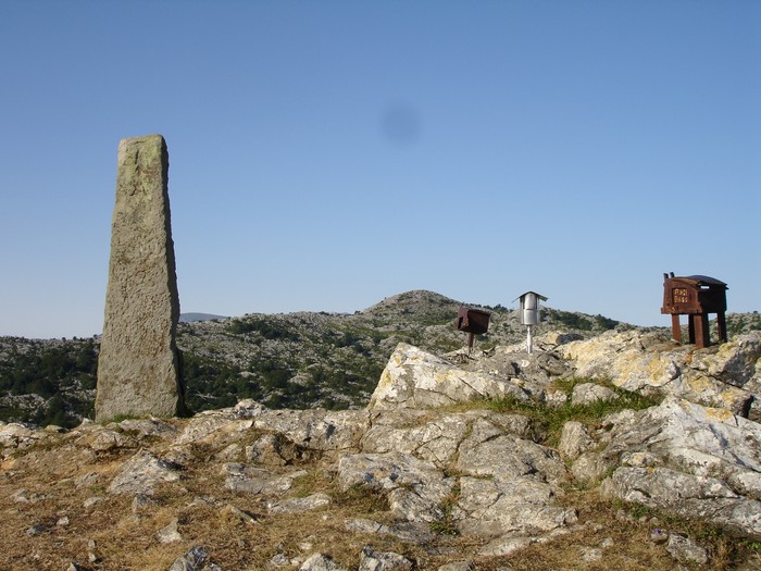 Irteera Belatxikietara