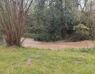 Asua ibaiak gainezka egin zuen hainbat lekutan, eta eragozpen handiak izan ziren