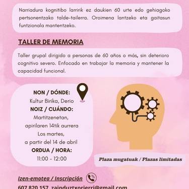 Memoria lantzeko tailerra