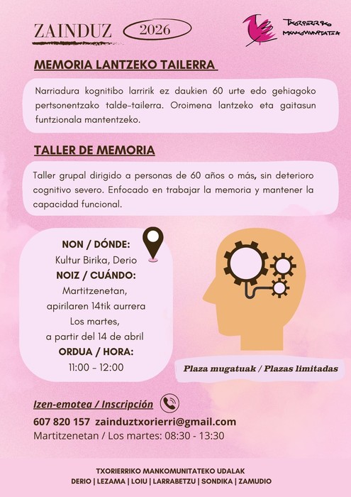 Memoria lantzeko tailerra