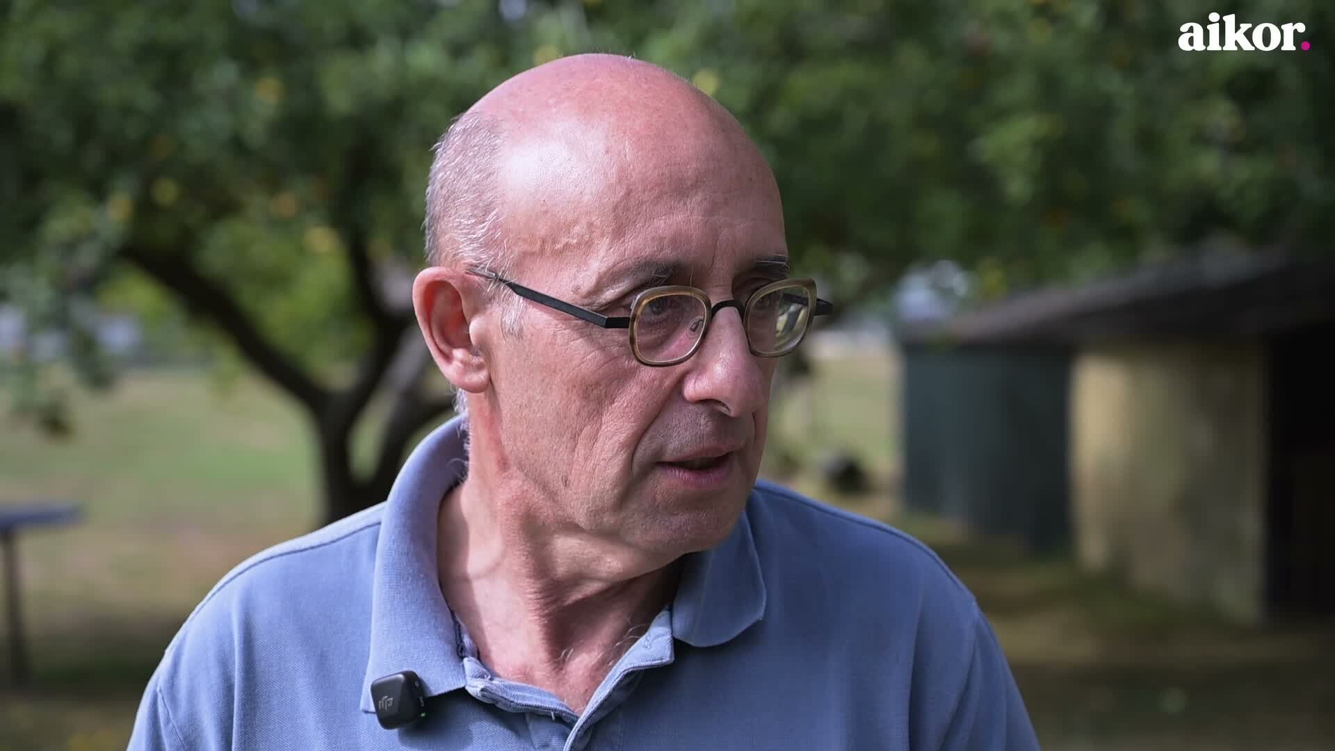 Tomatea, baratzeko erregea