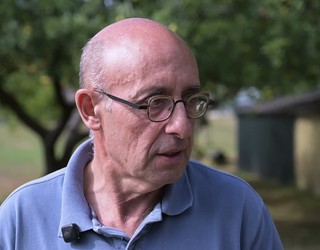 Tomatea, baratzeko erregea