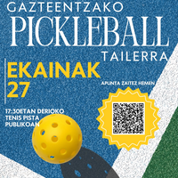 Pickball tailerra