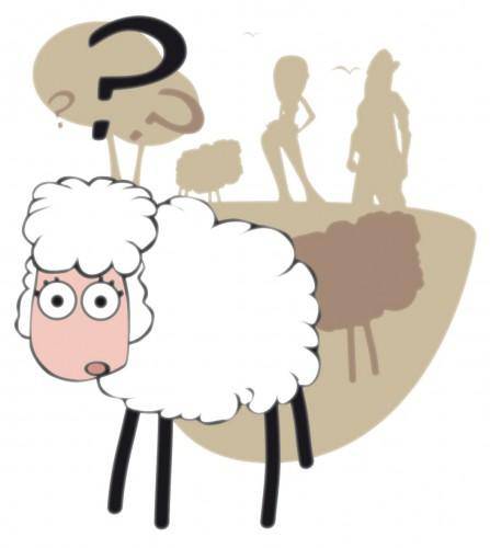 Aikorrizketan: Gora Euskal Herria? Gora Euskal Harria? Gora Euskal Ardia?