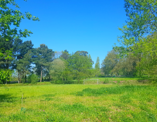 Loiuko Udalak Hariztondo-Txiline eremuan 400 etxebizitza eraikitzeko baimen guztiak lortu ditu