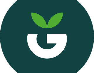 Errigora saski ekologikoa