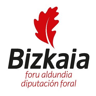 Irteera - Bizkaiko Foru Aldundia