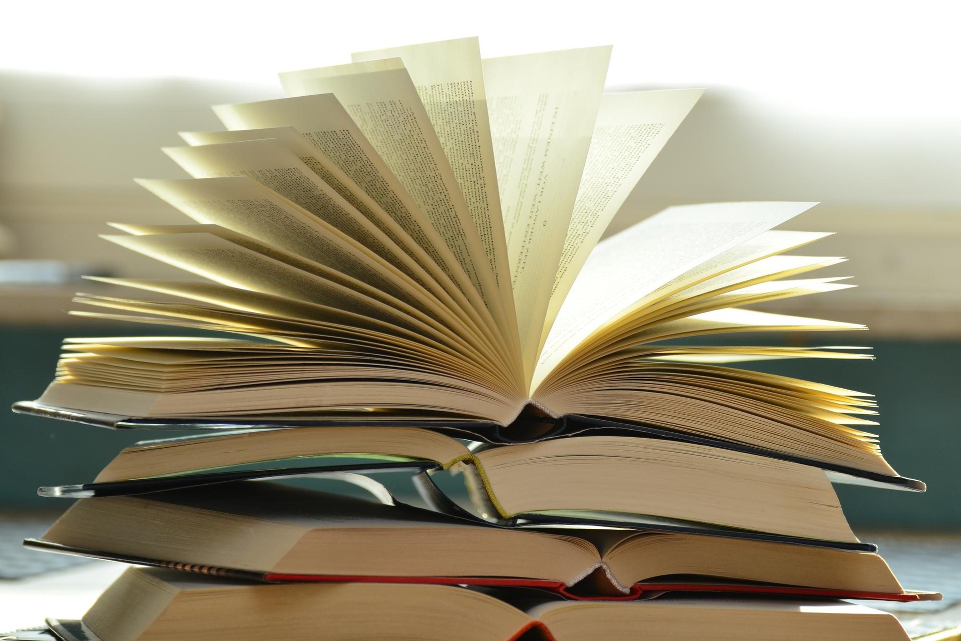 Zabalik dago haur literaturako 16. Mikel Zarate Sarian parte hartzeko epea