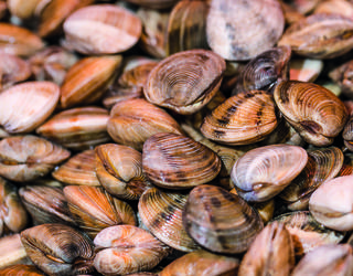 Muxilak, aperitiborako baino gehiagorako
