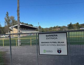 Futbol-zelaiko taberna berria, Derioko aurrekontu parte-hartzaileetako proposamenik bozkatuena