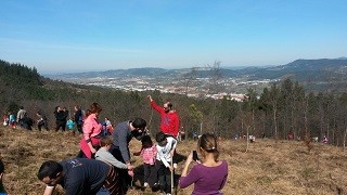 100 zuhaitz landatuko dituzte Lezaman 