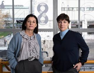 Aldenduta diruditen diziplinak elkartuz