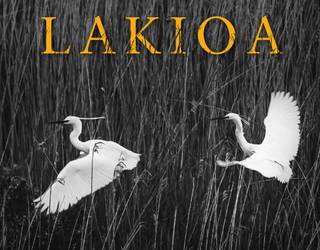 Josu Goikoetxea bere azken liburuaz arituko da gaur Larrabetzun