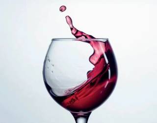 Igandean Enologia Eguna Sondikan